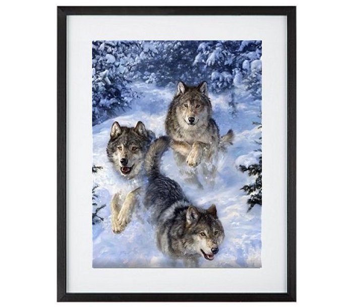 North American Wolves In Snow
